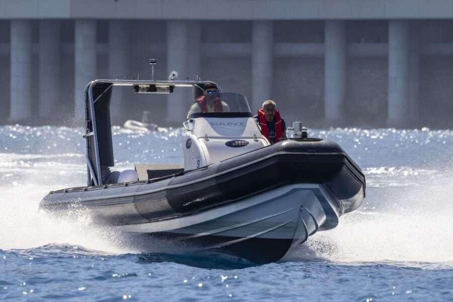 Sealence (DeepSpeed), image from the official website