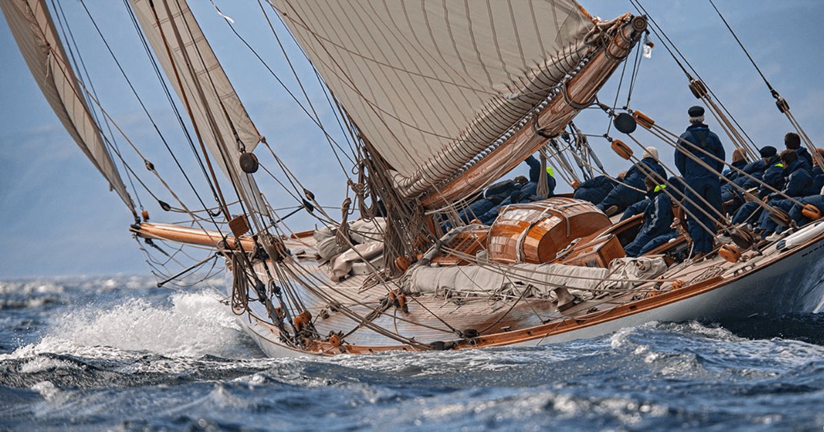 TOPLICHT, image from the official website