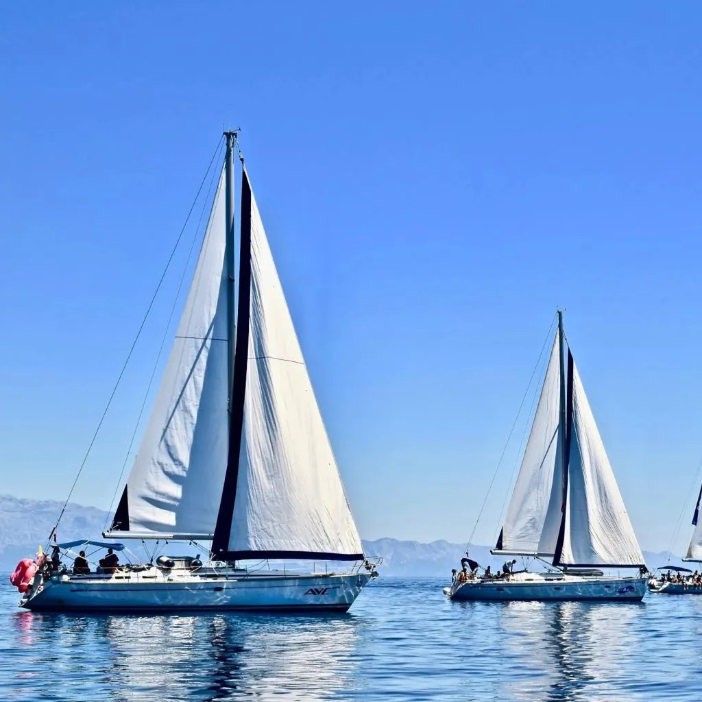 Electric Yacht, image from the official website