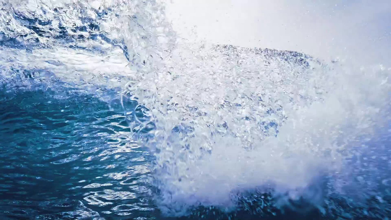 Chasing Innovation, image from the official website