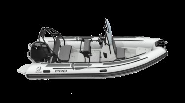 PRO 5.5