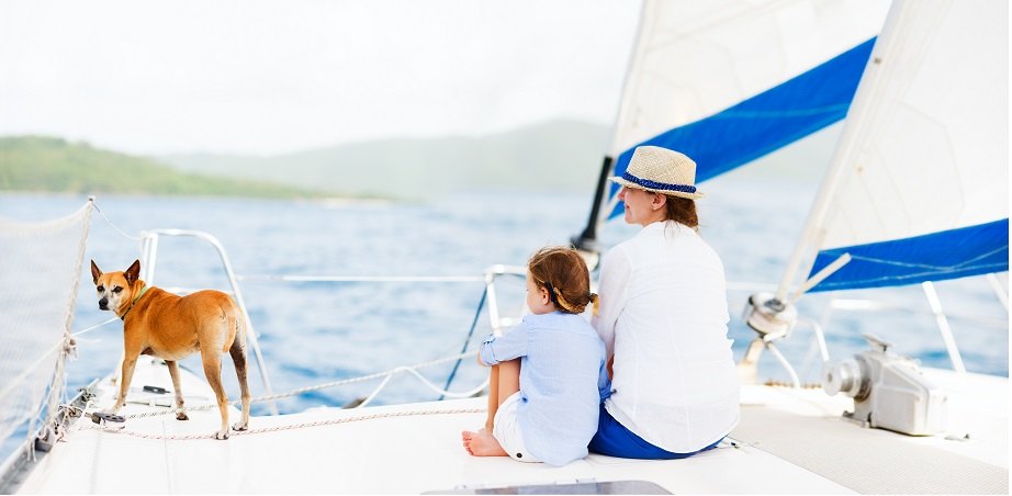 Yachtico, image from the official website